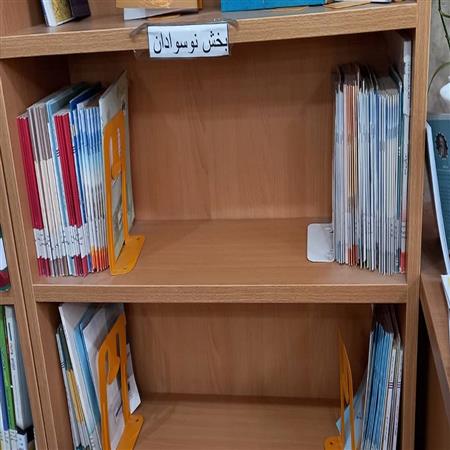 بخش نوسوادان